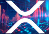 Free Fall XRP: ¿Dónde encontrará el precio?