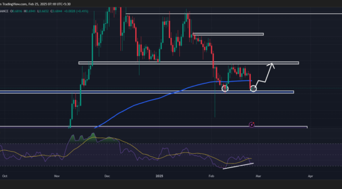Predicción de precios de Cardano (ADA) para el 25 de febrero