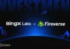 Bingx Labs invierte $ 100k en FirEverse para Web3 Music Innovation