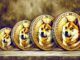 Dogecoin (doge) Flatlines: ¿es una ruptura o desglose?