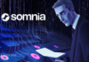 Somnia presenta shannon testnet para revolucionar la escalabilidad de blockchain