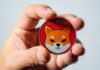SHIBA INU Bears Roar: ¿SHIB alcanzará $ 0.00001272 en medio de la venta de mercado?