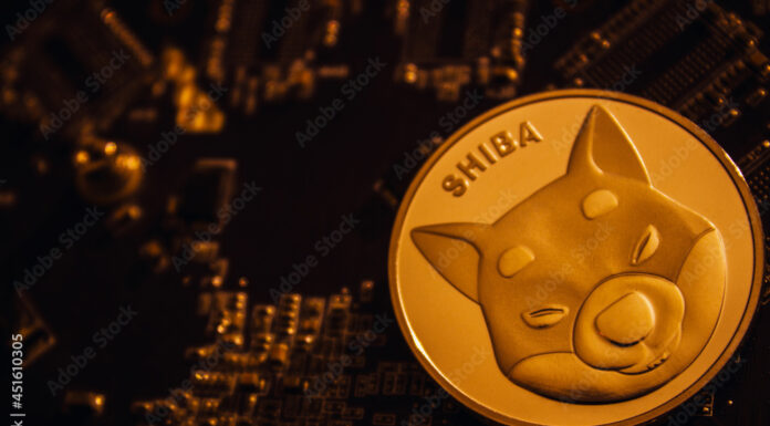 Los números millonario de Shiba inu caen por debajo de 1,000 después del accidente del mercado, ¿cuánto controlan?