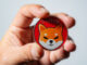 SHIBA INU Bears Roar: ¿SHIB alcanzará $ 0.00001272 en medio de la venta de mercado?