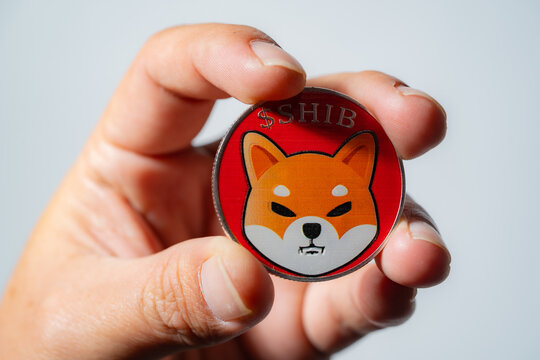 SHIBA INU Bears Roar: ¿SHIB alcanzará $ 0.00001272 en medio de la venta de mercado?