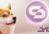 Dogecoin se encuentra con su pareja: Skyren Dao se convierte en el nuevo querido de cripto de Twitter