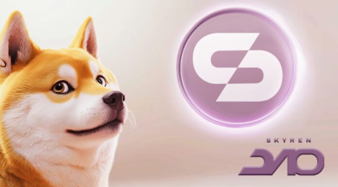 Dogecoin se encuentra con su pareja: Skyren Dao se convierte en el nuevo querido de cripto de Twitter