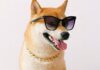¿Dogecoin a $ 1.35? El analista predice hito 'dentro de los 70 días'