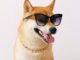 ¿Dogecoin a $ 1.35? El analista predice hito 'dentro de los 70 días'