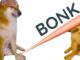 Bonk flashes compra una señal después de bloquear el 40% en una semana, ¿hora de entrar?