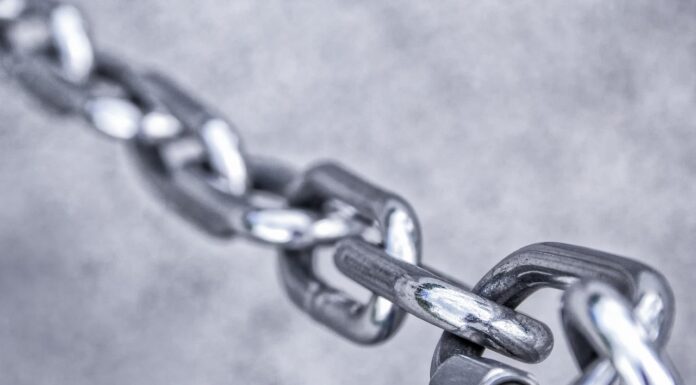 ChainLink (enlace) establecido por $ 36? Los movimientos de ballenas sugieren un gran rally: Analyst