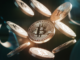 Esta semana en Bitcoin: Trump los tarifas de los mercados de rock mientras MicroStrategy vuelve a marca, y detiene BTC compra