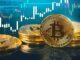 Profesor Coin: ¿Los fondos criptográficos administrados superan al mercado?