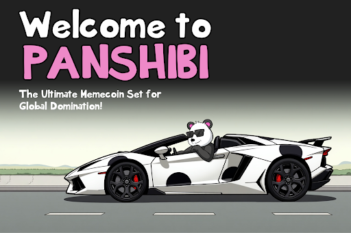 Panshibi, recuerda el nombre! Si ocurre el listado de Coinbase, este meme podría explotar por más de 25 veces para fines de marzo