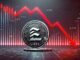 Líderes y escándalos mundiales con Memecoins: Cómo evitar proyectos dudosos