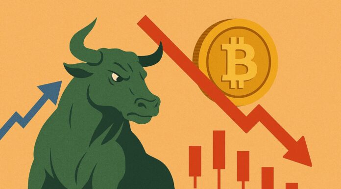 ¿Los Bulls todavía están en control? Bitcoin enfrenta presión después de una posición larga masiva