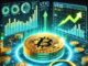 ¿Bitcoin está encontrando un fondo? Lo que nos dicen los datos de Utxo