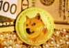 Pundit le da a Dogecoin Precio 30-40% de posibilidades de accidente a $ 0.165 a medida que RSI ingresa a los niveles de sobreventa