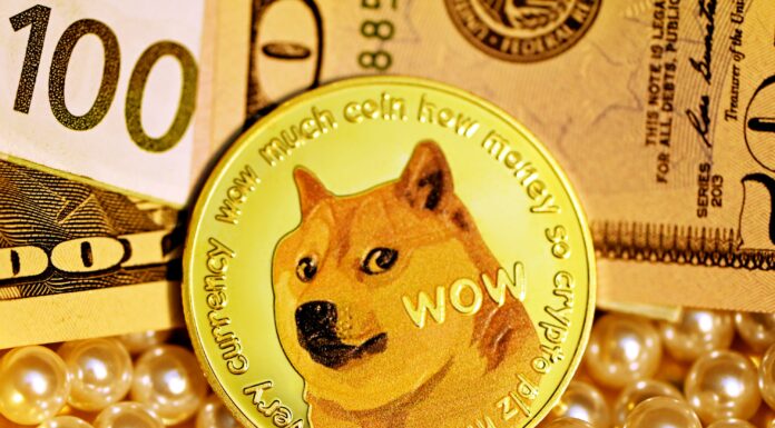 Pundit le da a Dogecoin Precio 30-40% de posibilidades de accidente a $ 0.165 a medida que RSI ingresa a los niveles de sobreventa