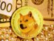 Pundit le da a Dogecoin Precio 30-40% de posibilidades de accidente a $ 0.165 a medida que RSI ingresa a los niveles de sobreventa