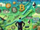 La tarifa que facilita el rally Altcoin: Solana, Doge y Ada Shine mientras Bitcoin se detiene