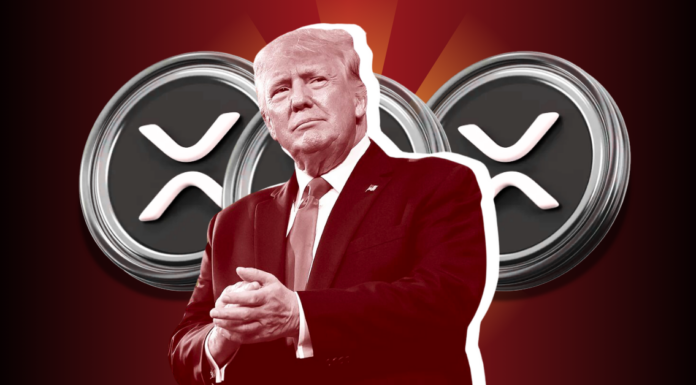 XRP News Today: ¿Podría el gobierno de los Estados Unidos pronto tener XRP en su reserva de activos digitales?