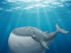 Solana salta 9% a medida que las ballenas acumulan en silencio millones: declive