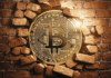 Cómo un minero en solitario Bitcoin superó las probabilidades y contó $ 266K