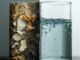 Los científicos crean tecnología de recolección de agua que utiliza restos de cocina y conchas marinas
