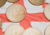 Asistente del ex primer ministro georgiano huye en el país en medio de un caso de malversación de bitcoin