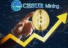 Comience una máquina minera de bitcoin con Dogecoin (doge) y gane $ 5,950 por día