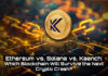 Solana vs. Kaanch: ¿Qué blockchain sobrevivirá al próximo accidente criptográfico?