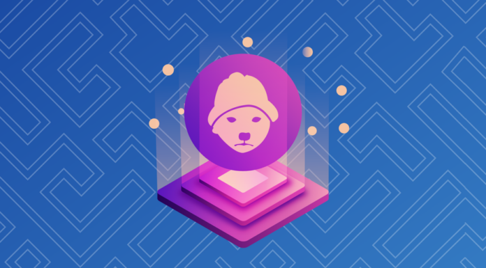 ¿Qué es dogwifhat (wif)? La moneda de Meme de Solana Dog con un sombrero