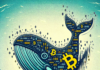 Esto es lo que están llevando a cabo los ballenas de Bitcoin en Binance en medio del pánico del mercado.