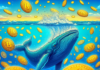 Las ballenas de Binance asumen el control del reciente incremento en los precios de Bitcoin, según los datos.
