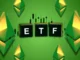 La SEC aprueba el comercio de opciones para Spot Ethereum ETFS: un cambio de juego para inversores criptográficos