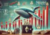 Las ballenas volcan 760,000 ethereum en dos semanas: ¿se vende más por delante?