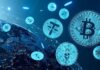Profesor Coin: ¿Qué está impulsando la adopción de criptomonedas en todo el mundo?