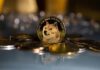 Dogecoin Fading Fervor: ¿La moneda de meme ha perdido su mojo?