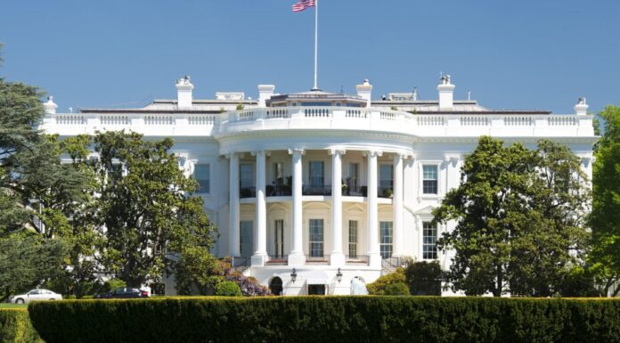 El aliado de Trump Bill Ackman pide una pausa de 90 días en los aranceles estadounidenses mientras se hunde cripto