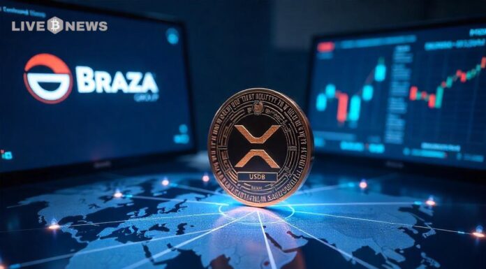 Braela Group lanza USDB Stablecoin en XRP Ledger