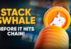 Whale.io acelerando hacia TGE – presenta la campaña «Wager & Gane» y lanza una conversión de token de ballena $