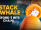 Whale.io acelerando hacia TGE – presenta la campaña «Wager & Gane» y lanza una conversión de token de ballena $