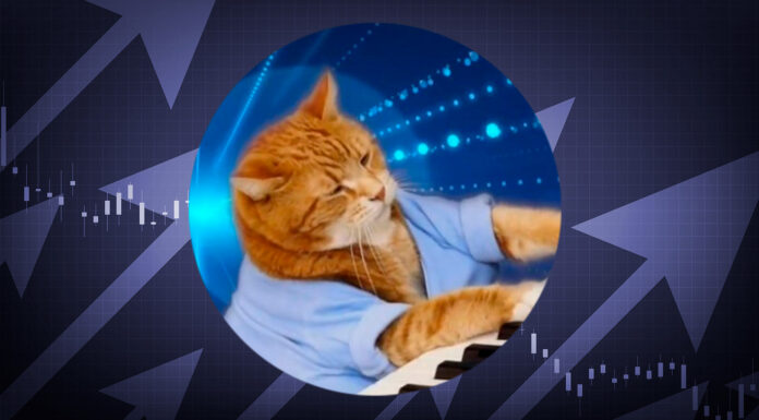 KeyCat aumenta el 187%: ¿Son las Memecoins de la red base las 'gemas' para mayo de 2025?