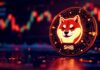 Shiba inu Predicción de precios: los temores de choque se afianzan ya que las ballenas descargan 13 billones de shib para esta moneda de meme rival