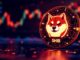 Shiba inu Predicción de precios: los temores de choque se afianzan ya que las ballenas descargan 13 billones de shib para esta moneda de meme rival