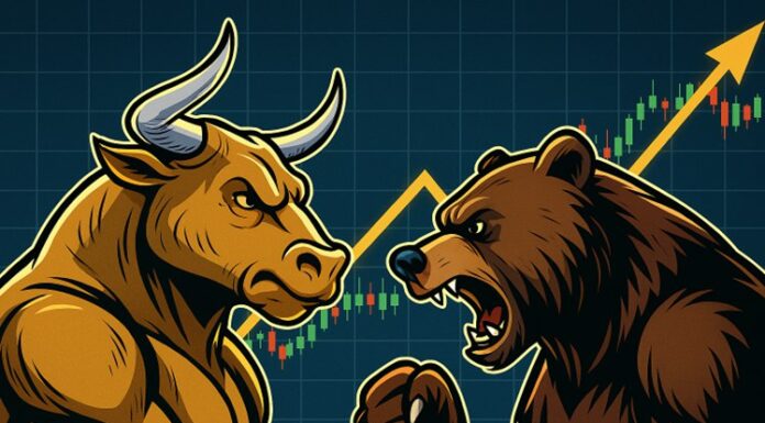 ¿Qué es un mercado de toros o osos?