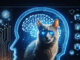 ¿Puede la IA descifrar el misterio de los gatos? Baidu lo cree posible.