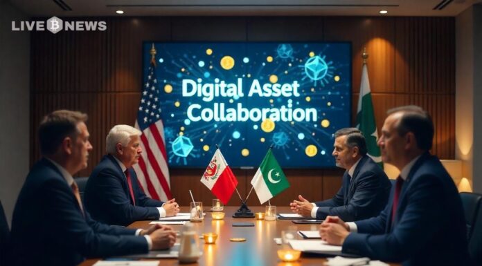 Pakistán, los funcionarios estadounidenses discuten la asociación de activos digitales y la estrategia de bitcoins