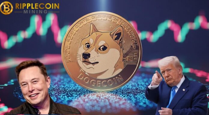 La mejor plataforma de minería en la nube Doge y BTC en 2025, gana fácilmente $ 16,777 por día